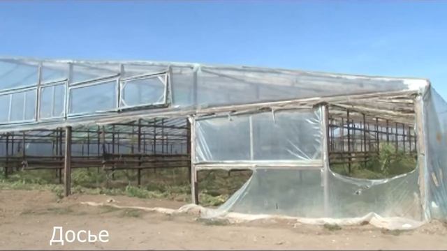 Совещание в прокуратуре по вопросам миграции смотреть онлайн