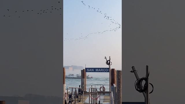 Venetian Dream: Gondolas, Sunset, and Mystical Skies смотреть онлайн
