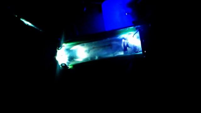 dunkel und bunt mit mdpv geht es rund смотреть онлайн