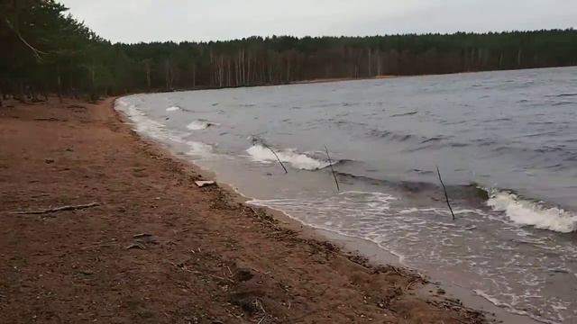 PB050732 смотреть онлайн