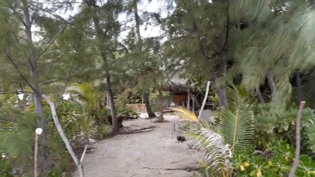 Bora bora - motu Ahuna смотреть онлайн