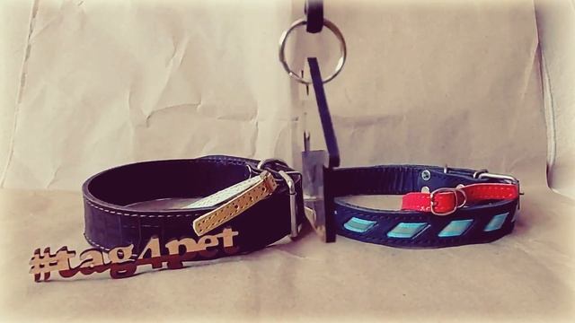 Адресник Плуто смотреть онлайн