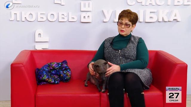 Живая среда