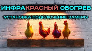 Обогрев курятника. Инфракрасный обогреватель #домуреки #жизньвдеревне #курятник