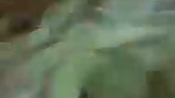 Кукушонок.3gp