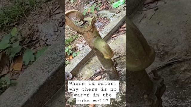 Water, water, water, need more water.