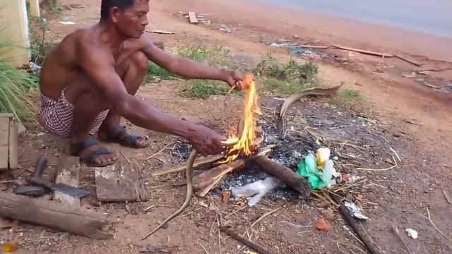 ЛОВЛЯ И ПРИГОТОВЛЕНИЕ ЗМЕИ смотреть онлайн