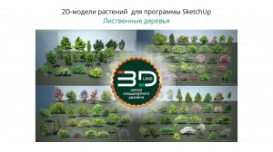 2D-растения для SketchUp. Лиственные деревья