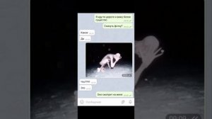 Мне угрожает странный монстр(Чат ПЕРЕПИСКА)