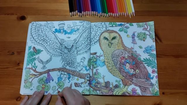 РАСКРАСКА АНТИСТРЕСС - СОВА/ ANTISTRESS COLORING PAGE - OWL/RELAXATION VIDEO 17 смотреть онлайн