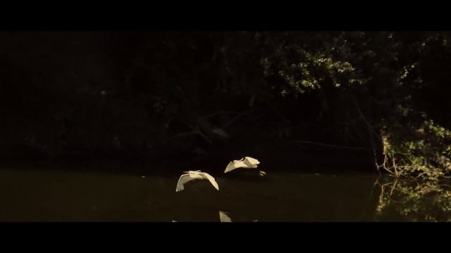 Jungle King - Jungle King Inna Babylon [Official Video 2017]