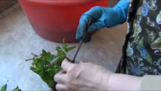 НЕУДАЧА смотреть онлайн