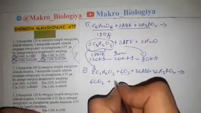 ATF VA ENERGIYA ALMASHINUVIGA OID MASALALAR YECHIMI!