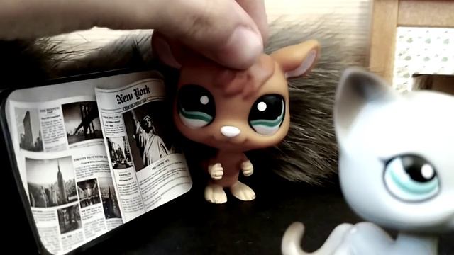 Хэлуинская история (будет страшно)🎃 смотреть онлайн