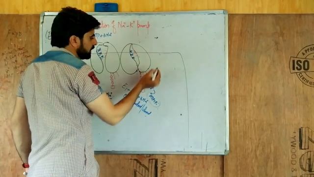 Mechanism of action of sodium potassium pump lecture 12(life science NET) by Mudasir Mir смотреть онлайн