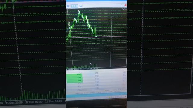 Торговый робот закрывает в плюс сетку ордеров AUDJPY смотреть онлайн