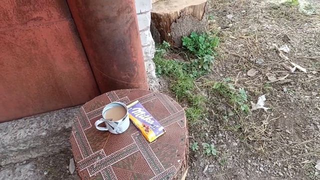 ЖАРИМ ШАШЛЫКИ, КУПАТЫ /ПОСЛЕДНИЕ ДЕНËЧКИ ОСЕНИ /ЗАКРЫВАЮ АДЖИКУ, ПОМИДОРЫ смотреть онлайн