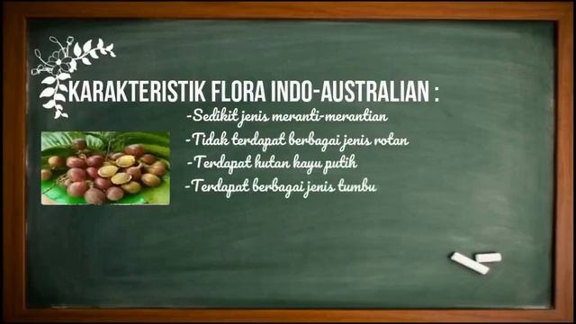 flora dan fauna смотреть онлайн