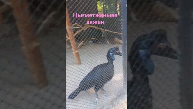 9 августа 2023 г. смотреть онлайн