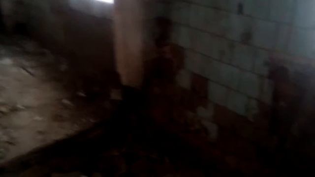 raccoon city#2 смотреть онлайн