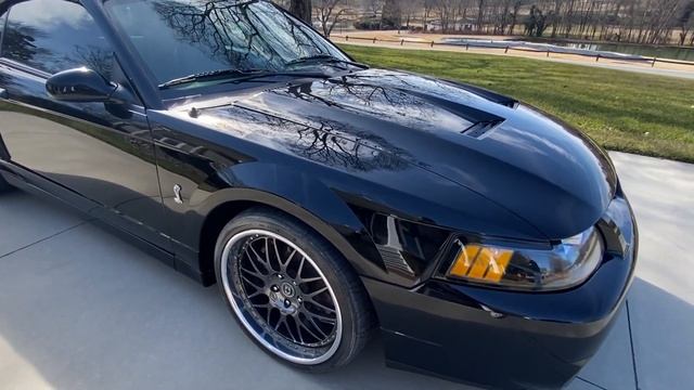 DeDona Tint and Sound walks around a 2003 Mustang SVT Cobra. смотреть онлайн