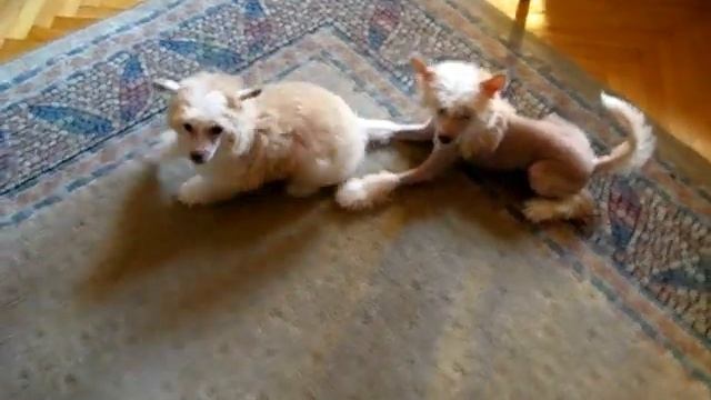 MVI 0326 смотреть онлайн