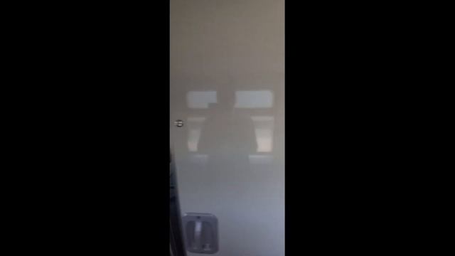 Видео инструкция провоза животных смотреть онлайн