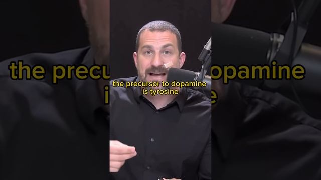 Tyrosine From Dopamine | Andrew Huberman смотреть онлайн