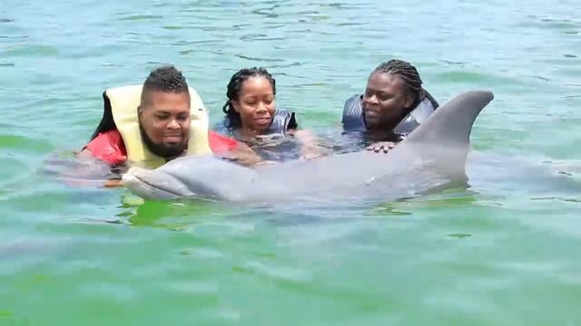 Venezuela Margarita Vacation: Swimming with Dolphins смотреть онлайн