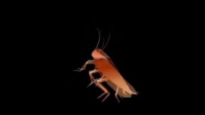 А я влюбилась как  дура в пирожкова артура я влюбилась в тебя ❤️