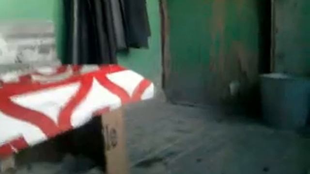 Щенок смотреть онлайн