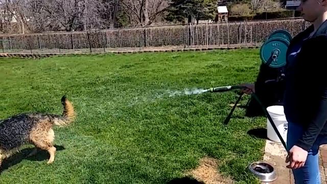 Мій пес любить воду.20 квітня 2016р. смотреть онлайн