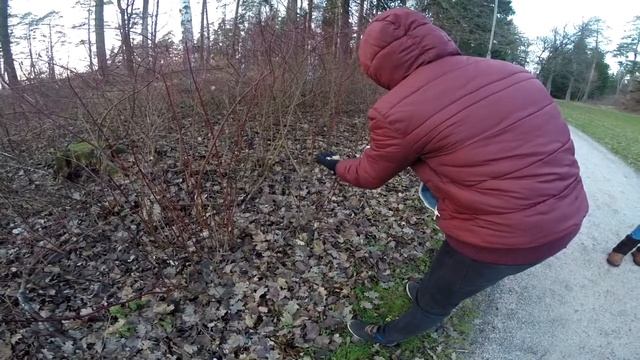 карликовая прогулка по парку смотреть онлайн