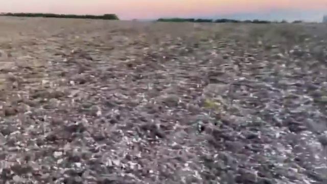 Нарутка и Сасыч, как отдельный вид искусства :3 @Sobolev Sempai