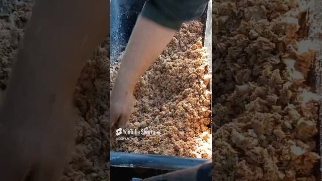 КОНСИСТЕНЦИЯ КАШИ ДЛЯ КУР!!! смотреть онлайн