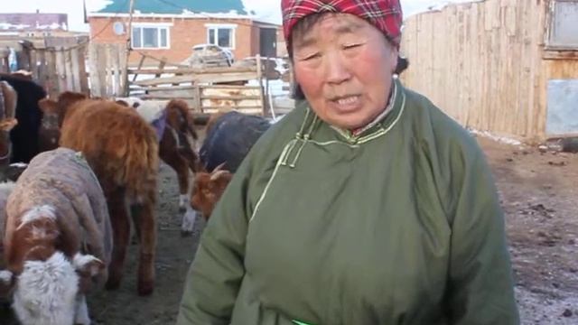 Уурагт тэжээл Шоколадан Бор Рапсын Шахдас Майнд Тэч Дельта Фүүдс Ашиг шим смотреть онлайн