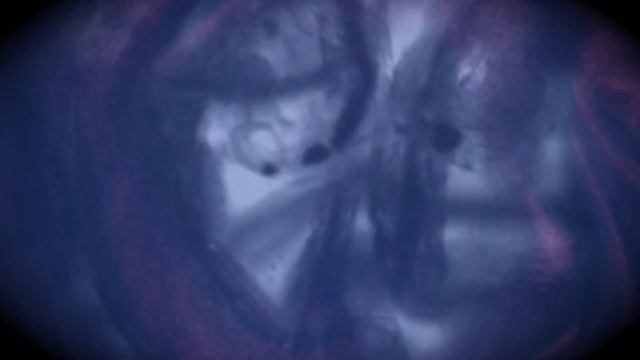 Vangers: Necross (After Years Edition)