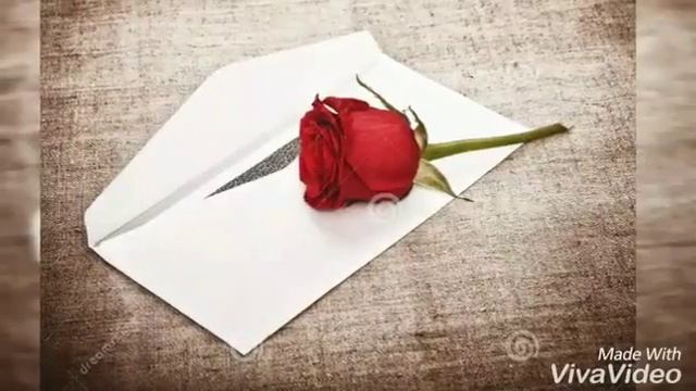 Yolgizbek & Eldar   Qizil Atirgul  🌹 FULL HD  2020 #YURAK_AMRI