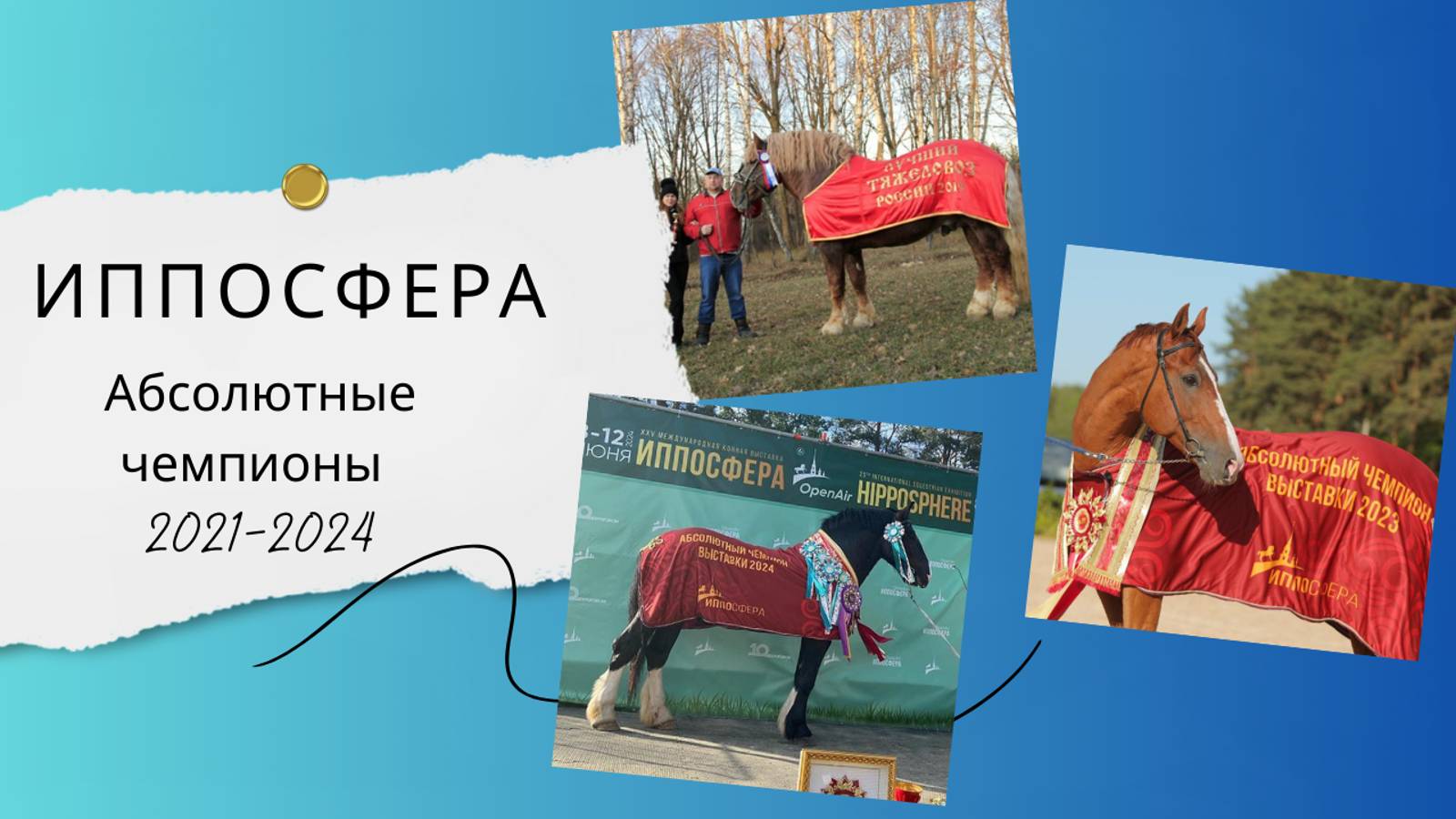 Абсолютные чемпионы Иппосферы 2021-2024
