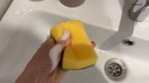 Английский кокер-спаниель. Домашний уход за собакой.