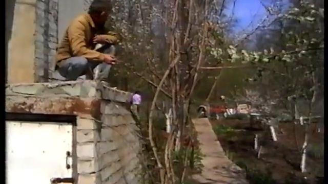 Дача 1998 год... смотреть онлайн