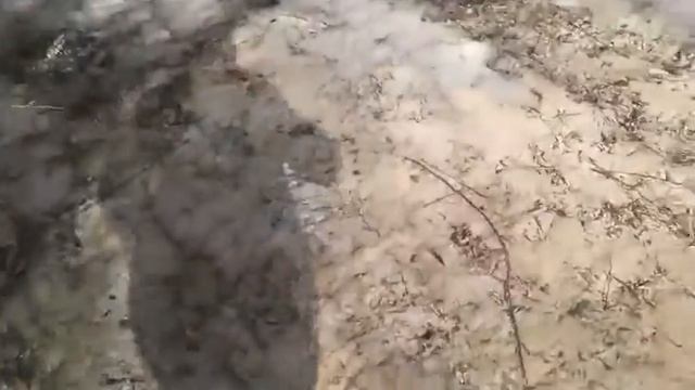 Лучший отдых . Я разбил градусник смешно смотреть онлайн