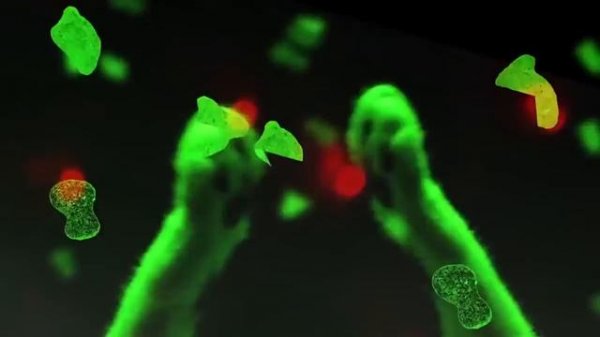 Мяу микс диско| Meow Mix