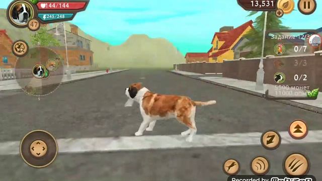 Dog Sim Симулятор собаки игра для детей и не только!