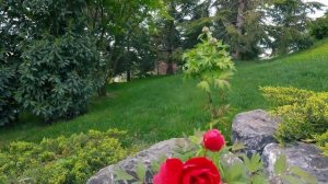 Японский сад Краснодар, японский ресторан в парке Галицкого, парк Краснодар обзор 2024.