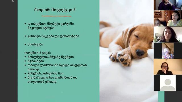 იმუნური სისტემა და ჩვენი საკვები - სოფია გიგიტაშვილი. პირველი ნაწილი смотреть онлайн