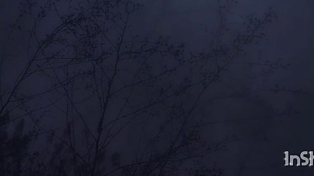 охота на вервольфа 🔥💫