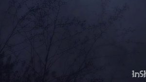 охота на вервольфа 🔥💫