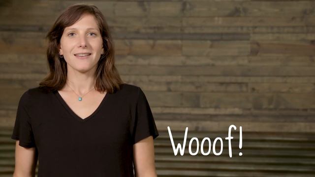 Rumpus™ With Zogoflex®