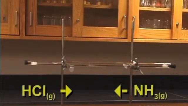 Ammonia reacts with hydrochloric acid смотреть онлайн